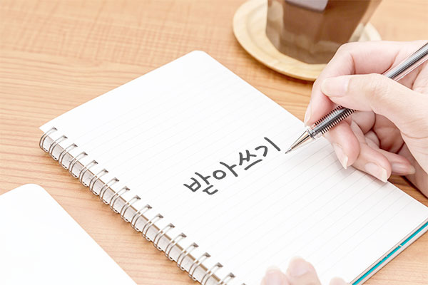 書き取り間違いしやすい部分の解説、また発音変化も学べるオンラインレッスンライトパダスギコース